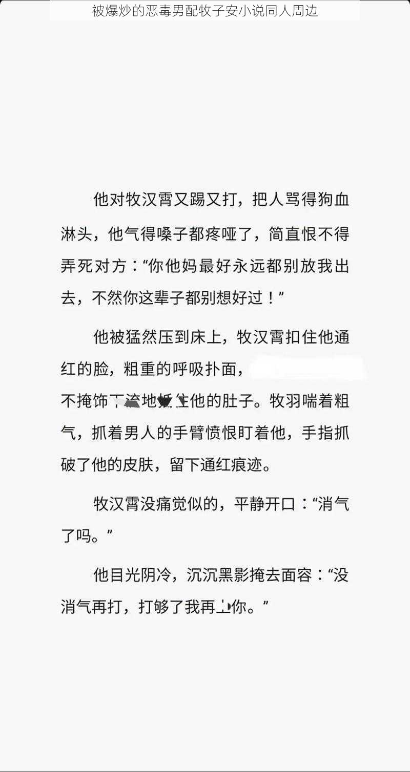 被爆炒的恶毒男配牧子安小说同人周边