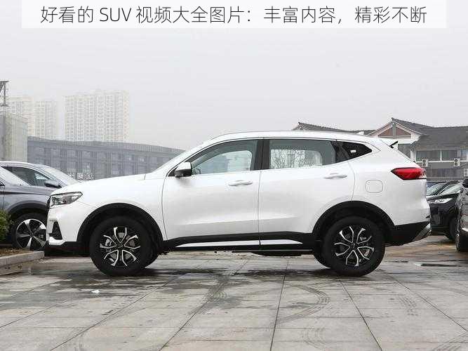 好看的 SUV 视频大全图片：丰富内容，精彩不断