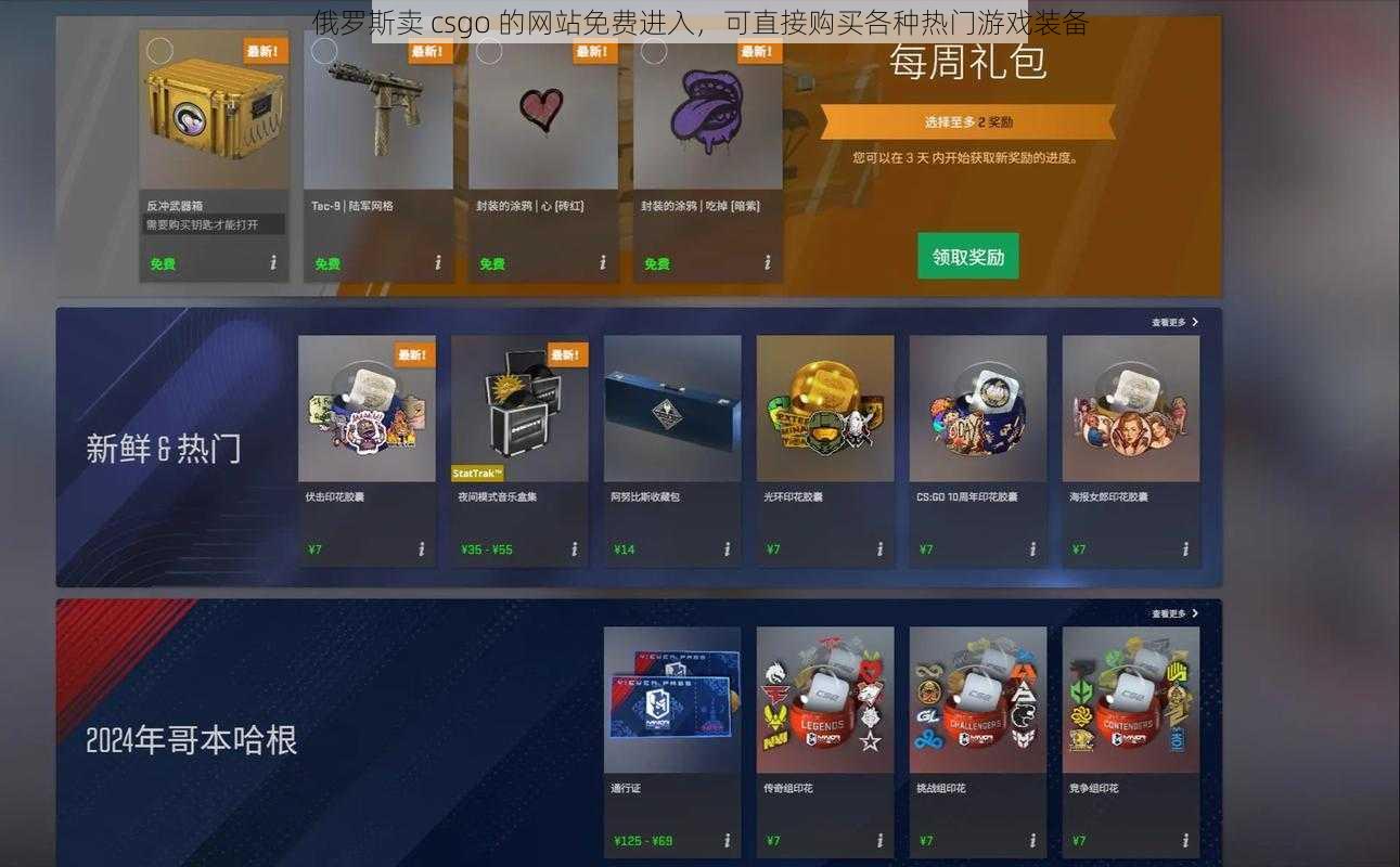 俄罗斯卖 csgo 的网站免费进入，可直接购买各种热门游戏装备