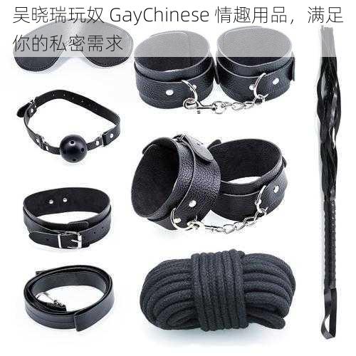 吴晓瑞玩奴 GayChinese 情趣用品，满足你的私密需求