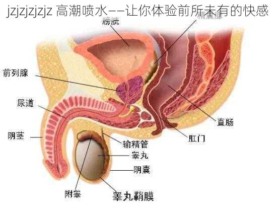 jzjzjzjzjz 高潮喷水——让你体验前所未有的快感