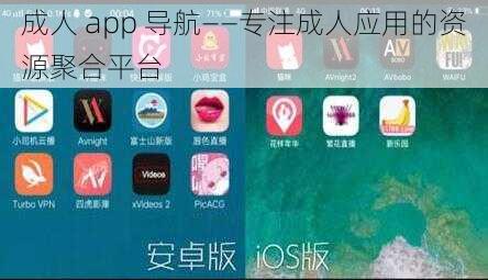 成人 app 导航——专注成人应用的资源聚合平台