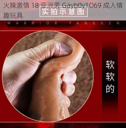 火辣激情 18 亚洲男 Gayb0y1O69 成人情趣玩具