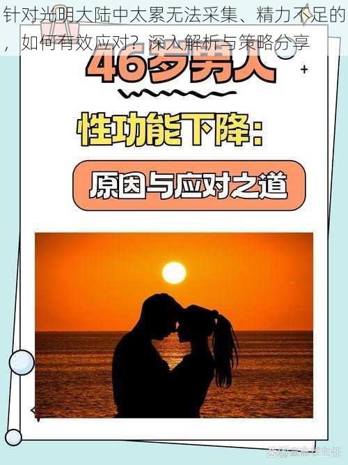 针对光明大陆中太累无法采集、精力不足的，如何有效应对？深入解析与策略分享