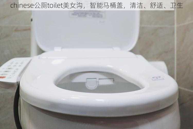 chinese公厕toilet美女沟，智能马桶盖，清洁、舒适、卫生