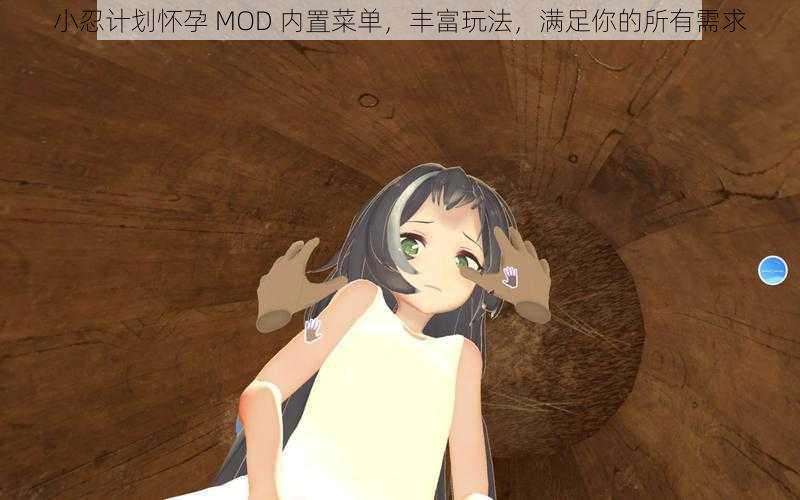 小忍计划怀孕 MOD 内置菜单，丰富玩法，满足你的所有需求