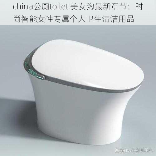 china公厕toilet 美女沟最新章节：时尚智能女性专属个人卫生清洁用品