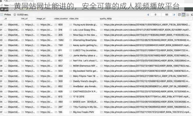 黄网站网址能进的，安全可靠的成人视频播放平台