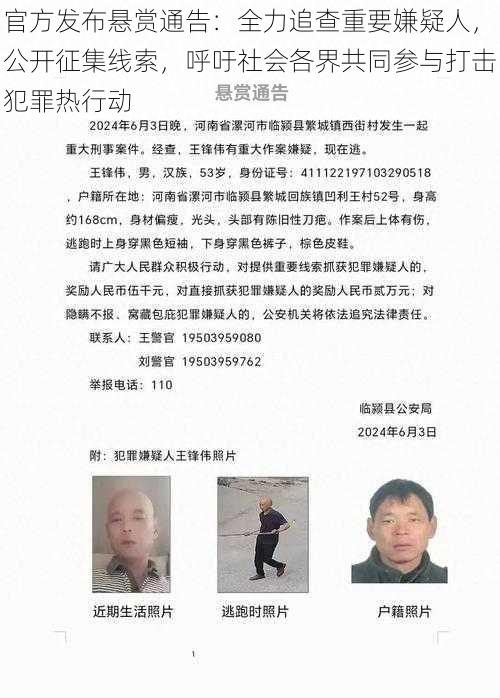 官方发布悬赏通告：全力追查重要嫌疑人，公开征集线索，呼吁社会各界共同参与打击犯罪热行动