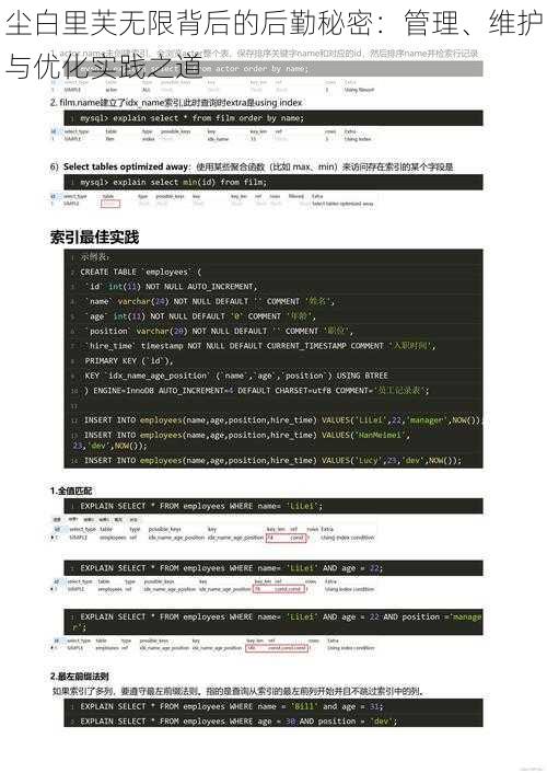 尘白里芙无限背后的后勤秘密：管理、维护与优化实践之道