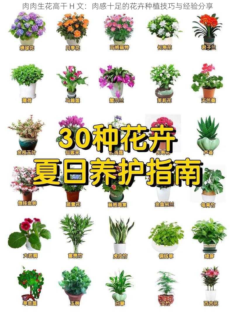 肉肉生花高干 H 文：肉感十足的花卉种植技巧与经验分享