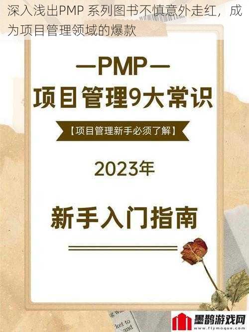 深入浅出PMP 系列图书不慎意外走红，成为项目管理领域的爆款