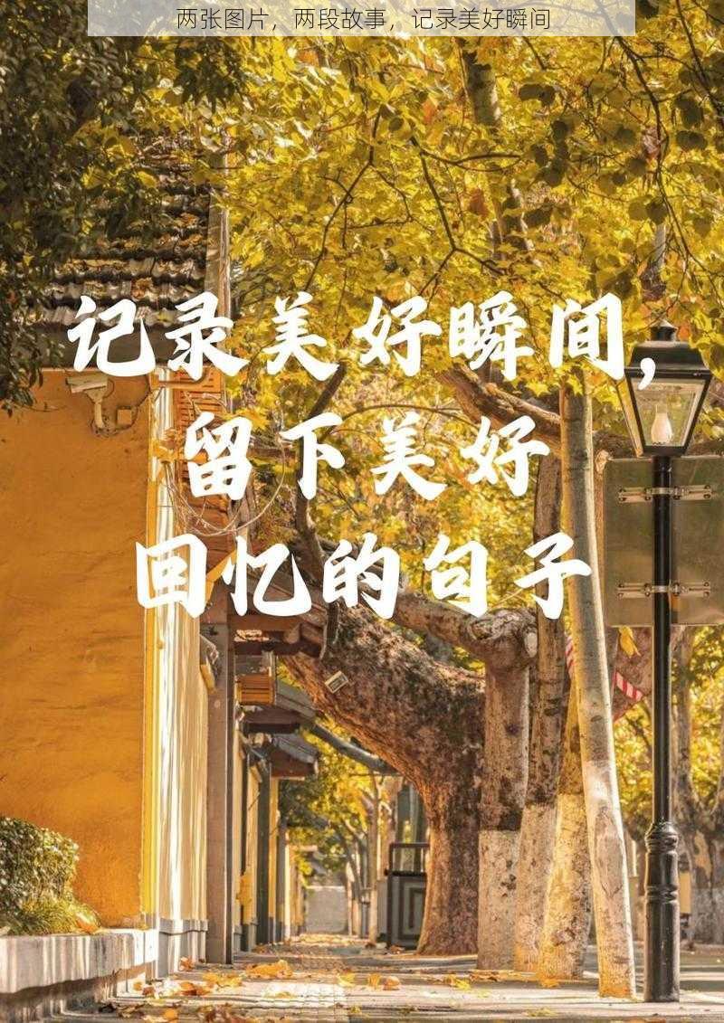 两张图片，两段故事，记录美好瞬间