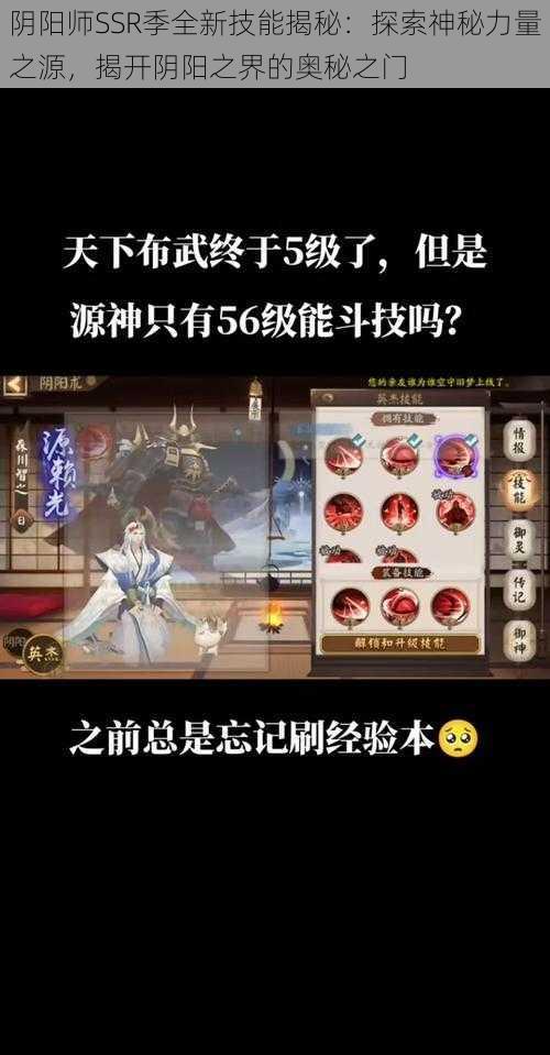 阴阳师SSR季全新技能揭秘：探索神秘力量之源，揭开阴阳之界的奥秘之门