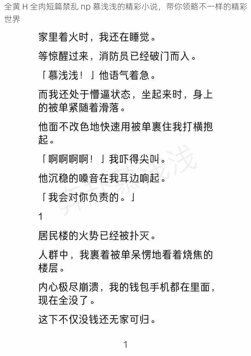 全黄 H 全肉短篇禁乱 np 慕浅浅的精彩小说，带你领略不一样的精彩世界