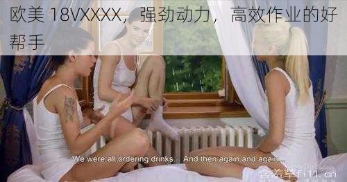 欧美 18VXXXX，强劲动力，高效作业的好帮手