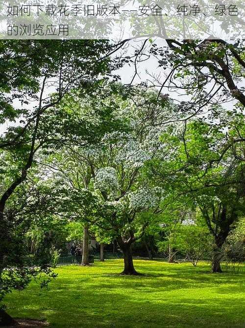 如何下载花季旧版本——安全、纯净、绿色的浏览应用