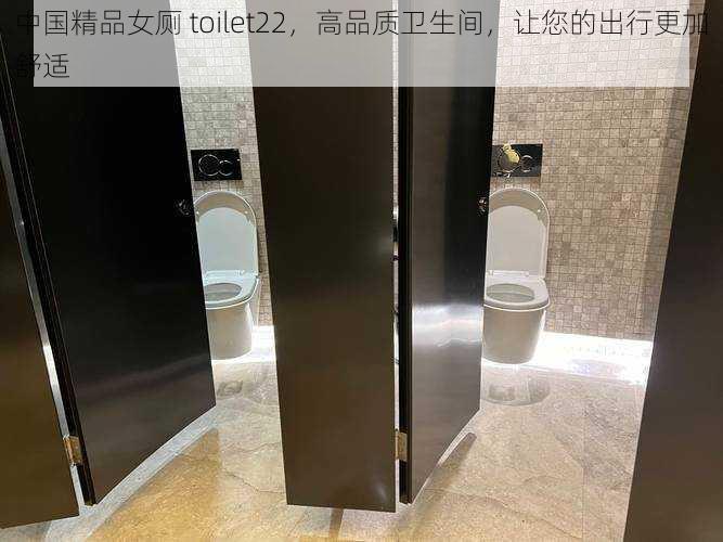 中国精品女厕 toilet22，高品质卫生间，让您的出行更加舒适