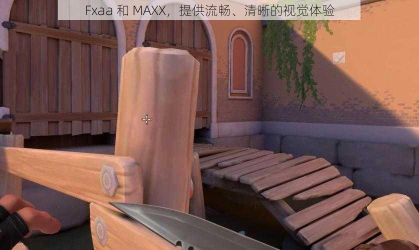 Fxaa 和 MAXX，提供流畅、清晰的视觉体验