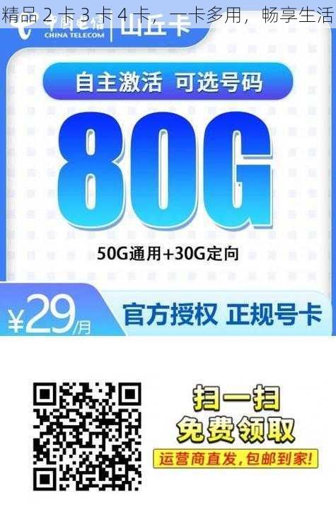 精品 2 卡 3 卡 4 卡，一卡多用，畅享生活