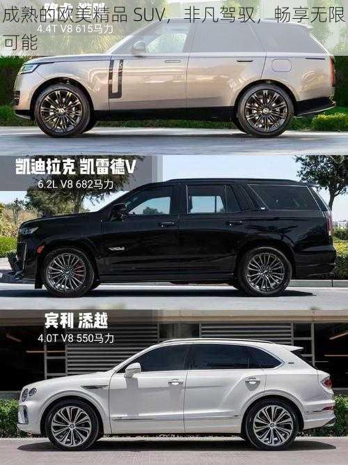 成熟的欧美精品 SUV，非凡驾驭，畅享无限可能