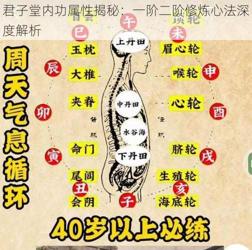 君子堂内功属性揭秘：一阶二阶修炼心法深度解析