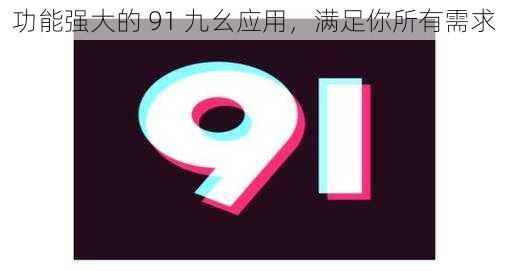 功能强大的 91 九幺应用，满足你所有需求