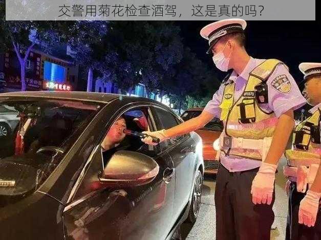 交警用菊花检查酒驾，这是真的吗？