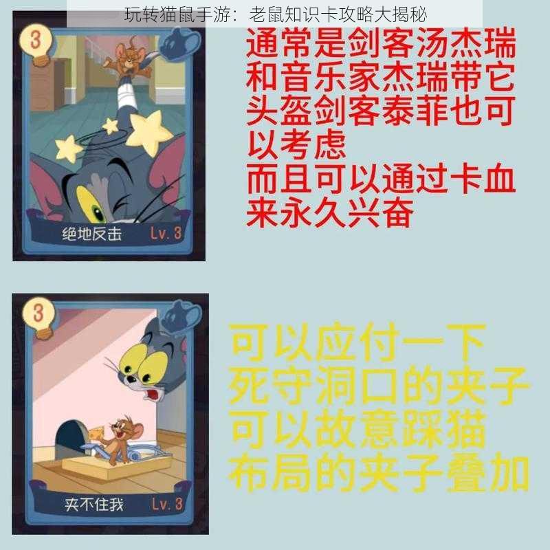 玩转猫鼠手游：老鼠知识卡攻略大揭秘