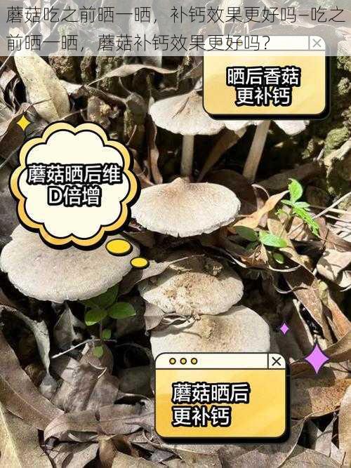 蘑菇吃之前晒一晒，补钙效果更好吗—吃之前晒一晒，蘑菇补钙效果更好吗？