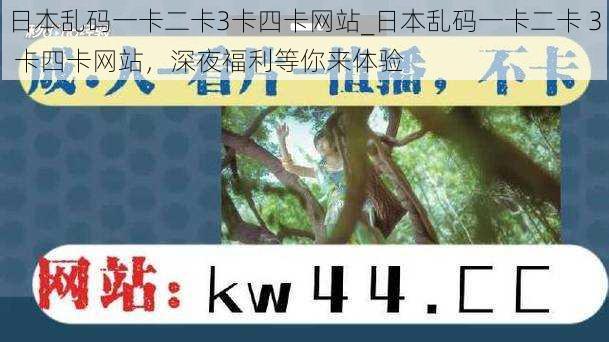 日本乱码一卡二卡3卡四卡网站_日本乱码一卡二卡 3 卡四卡网站，深夜福利等你来体验