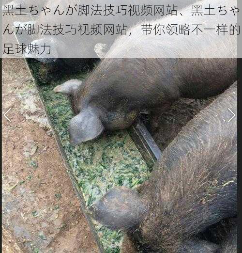 黑土ちゃんが脚法技巧视频网站、黑土ちゃんが脚法技巧视频网站，带你领略不一样的足球魅力