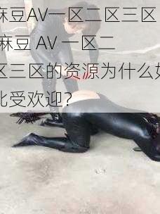 麻豆AV一区二区三区,麻豆 AV 一区二区三区的资源为什么如此受欢迎？