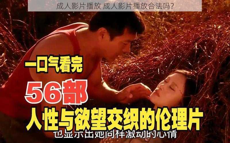 成人影片播放 成人影片播放合法吗？