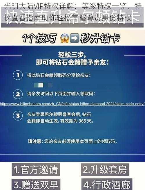 光明大陆VIP特权详解：等级特权一览，特权查看指南助你轻松掌握尊贵身份特权