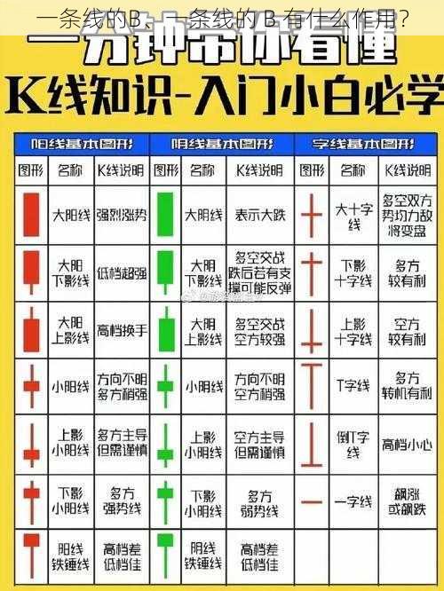 一条线的B、一条线的 B 有什么作用？