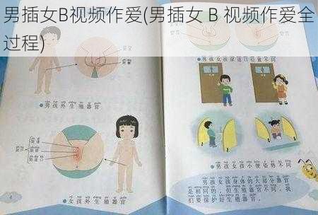 男插女B视频作爱(男插女 B 视频作爱全过程)