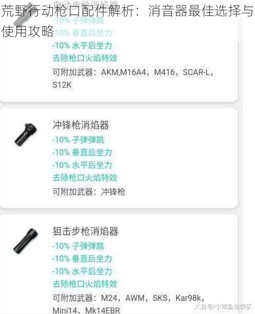 荒野行动枪口配件解析：消音器最佳选择与使用攻略