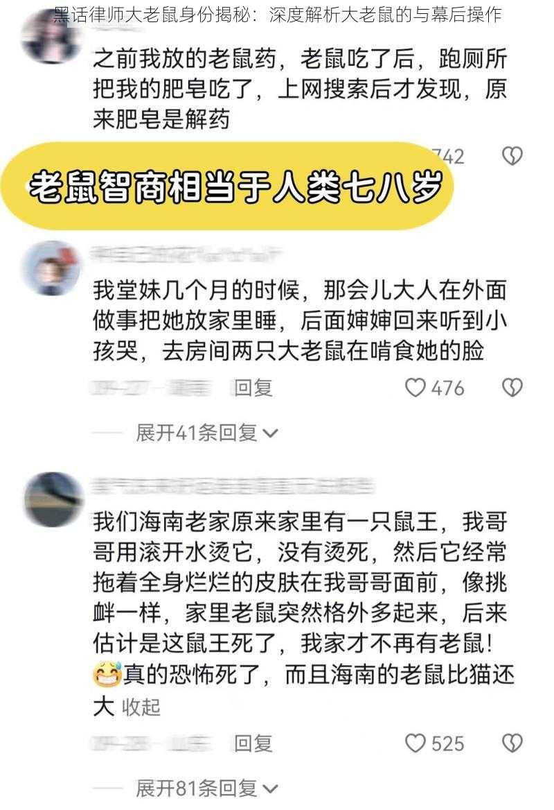 黑话律师大老鼠身份揭秘：深度解析大老鼠的与幕后操作