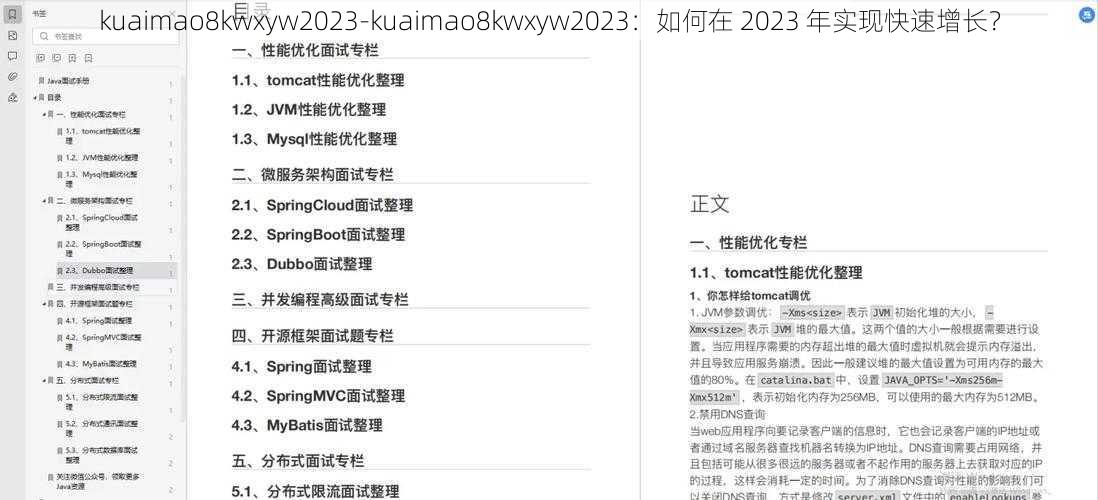 kuaimao8kwxyw2023-kuaimao8kwxyw2023：如何在 2023 年实现快速增长？