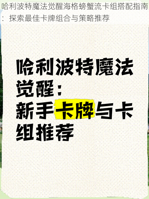 哈利波特魔法觉醒海格螃蟹流卡组搭配指南：探索最佳卡牌组合与策略推荐