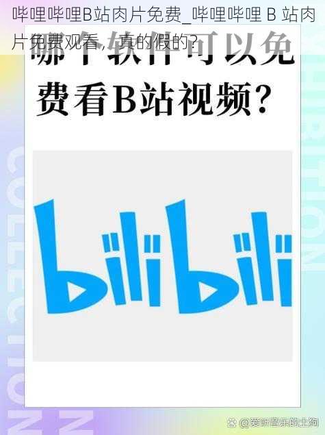 哔哩哔哩B站肉片免费_哔哩哔哩 B 站肉片免费观看，真的假的？