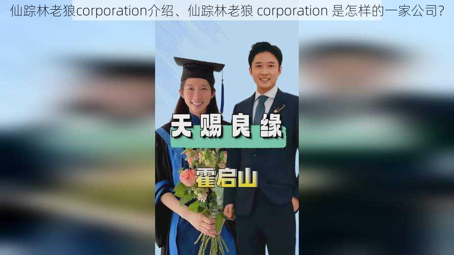 仙踪林老狼corporation介绍、仙踪林老狼 corporation 是怎样的一家公司？