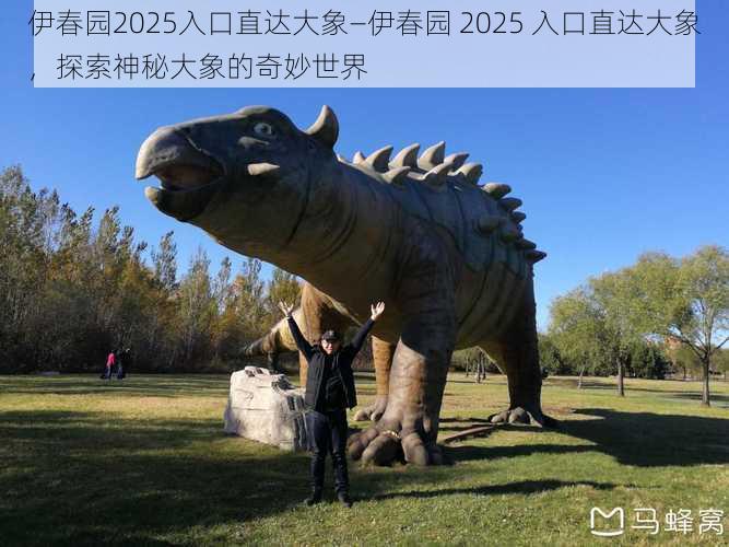 伊春园2025入口直达大象—伊春园 2025 入口直达大象，探索神秘大象的奇妙世界