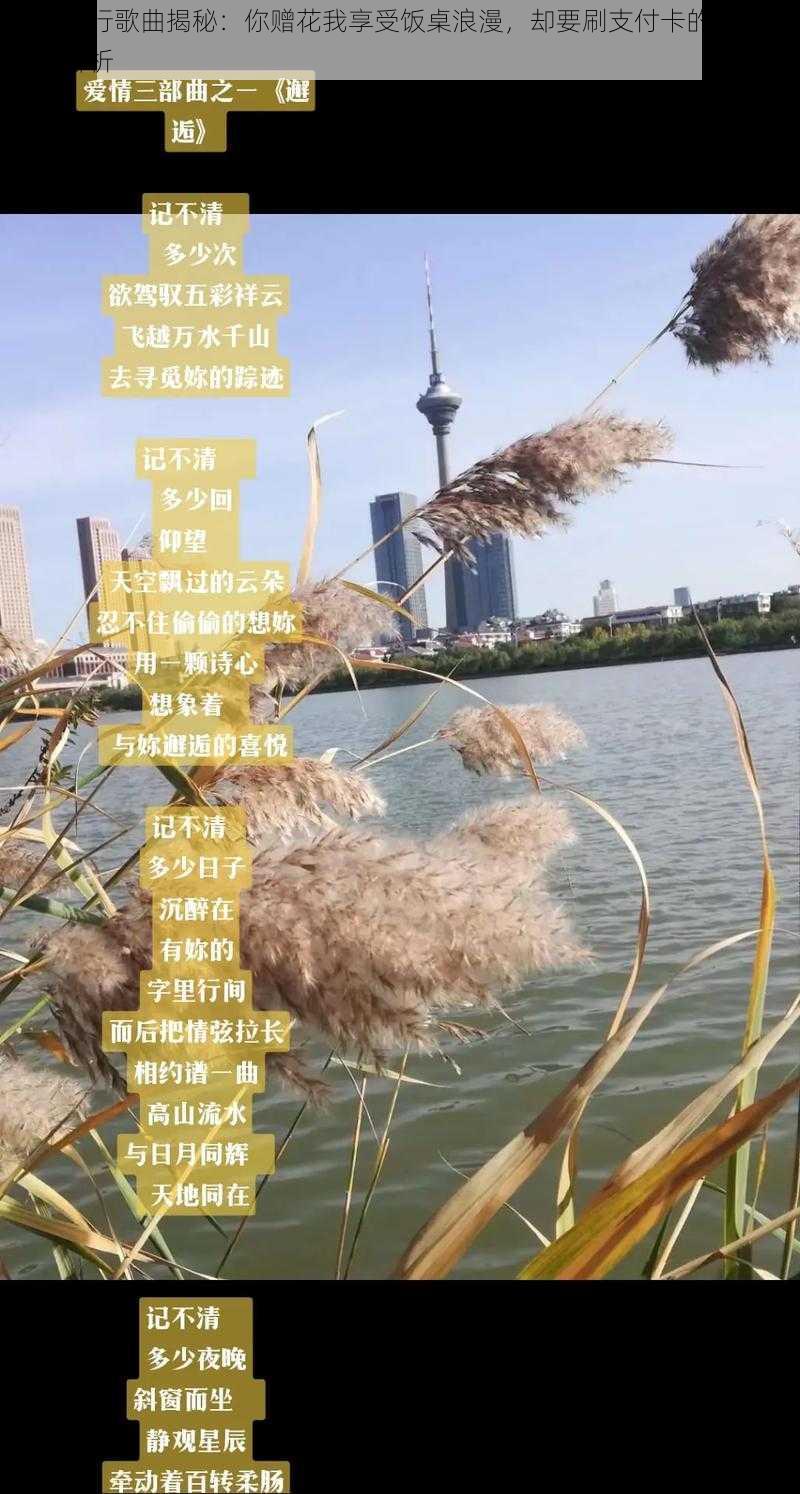 抖音流行歌曲揭秘：你赠花我享受饭桌浪漫，却要刷支付卡的消费爱情曲解析