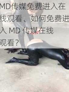 MD传媒免费进入在线观看、如何免费进入 MD 传媒在线观看？