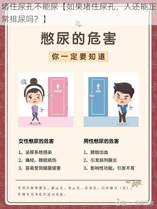 堵住尿孔不能尿【如果堵住尿孔，人还能正常排尿吗？】