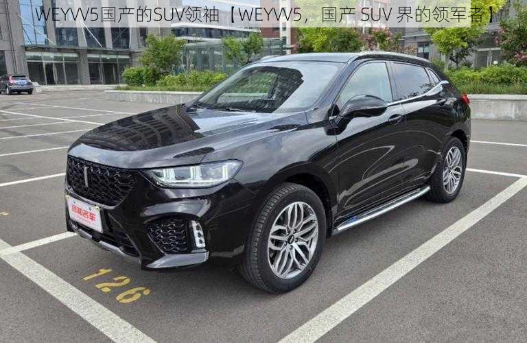 WEYVV5国产的SUV领袖【WEYVV5，国产 SUV 界的领军者】