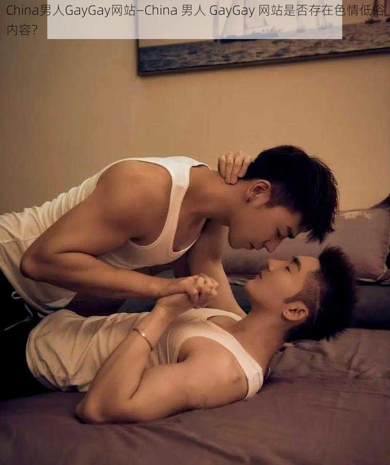 China男人GayGay网站—China 男人 GayGay 网站是否存在色情低俗内容？