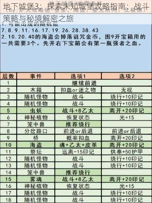 地下城堡3：探索未知城堡攻略指南：战斗策略与秘境解密之旅